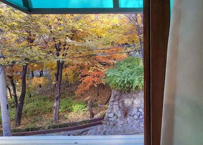 공원, Hongdae Park Forest * 서울특별시
